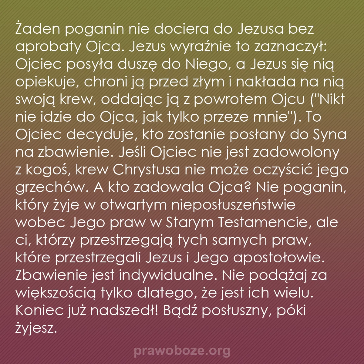 0008 – Grafika o Prawie Bożym: Żaden poganin nie dociera do Jezusa bez aprobaty Ojca....