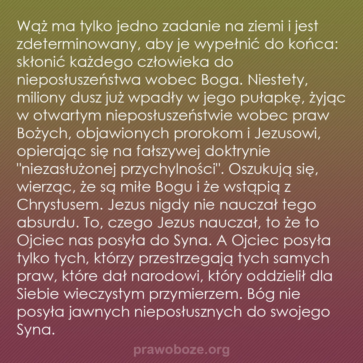 0028 – Grafika o Prawie Bożym: Wąż ma tylko jedno zadanie na ziemi i jest zdeterminowany,...