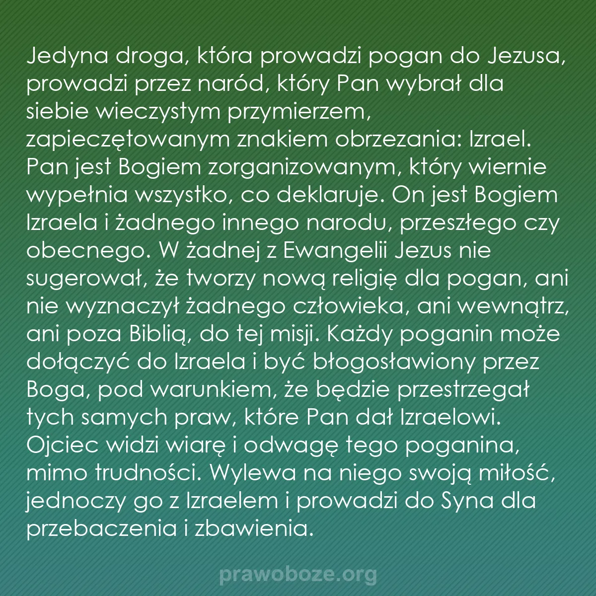 0190 – Grafika o Prawie Bożym: Jedyna droga, która prowadzi pogan do Jezusa, prowadzi...
