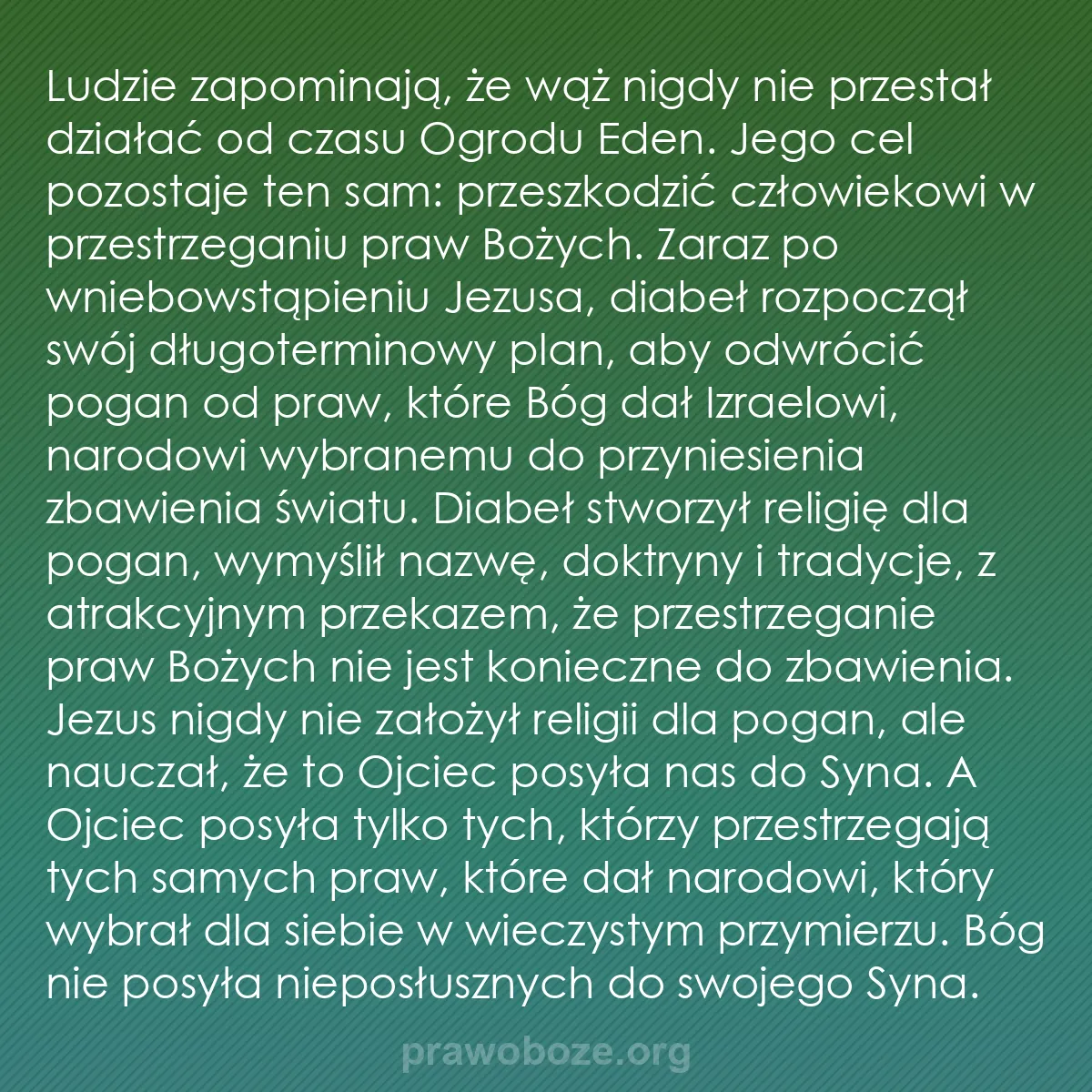 0210 – Grafika o Prawie Bożym: Ludzie zapominają, że wąż nigdy nie przestał działać...