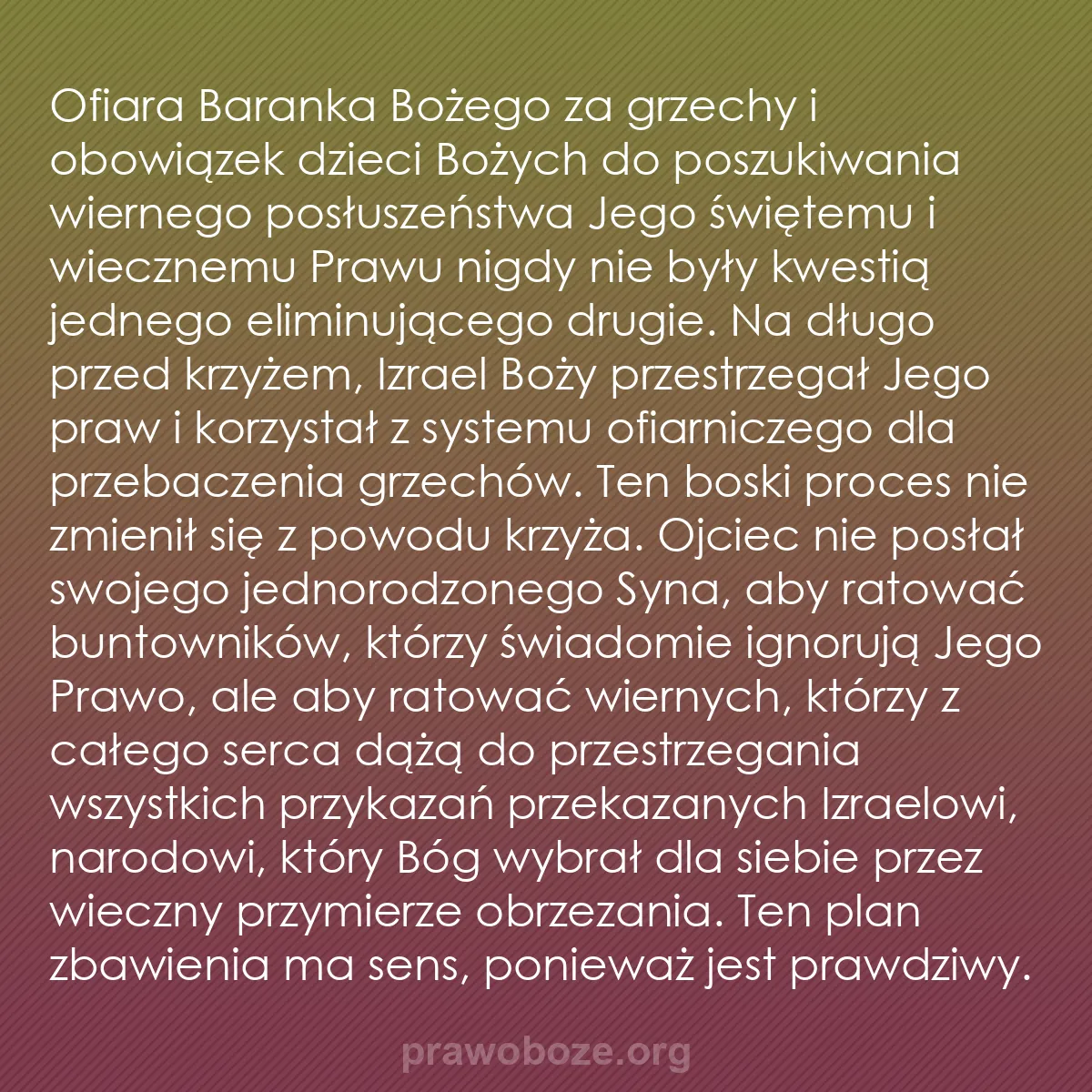 0248 – Grafika o Prawie Bożym: Ofiara Baranka Bożego za grzechy i obowiązek dzieci...