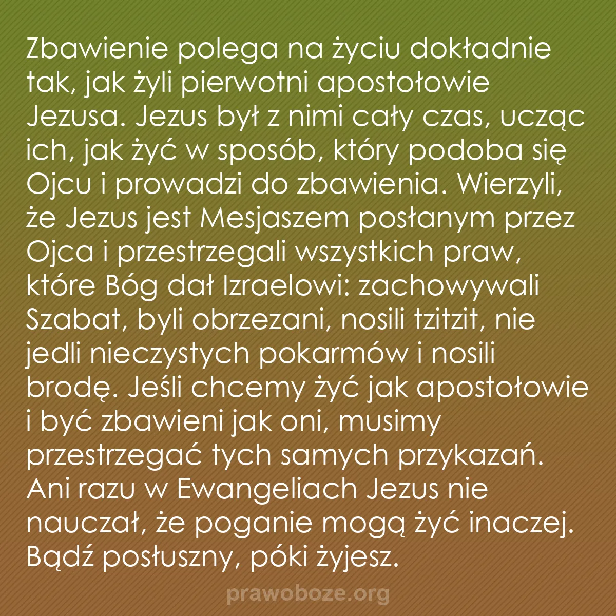 b0009 - Grafika o Prawie Bożym: Zbawienie polega na życiu dokładnie tak, jak żyli pierwotni...