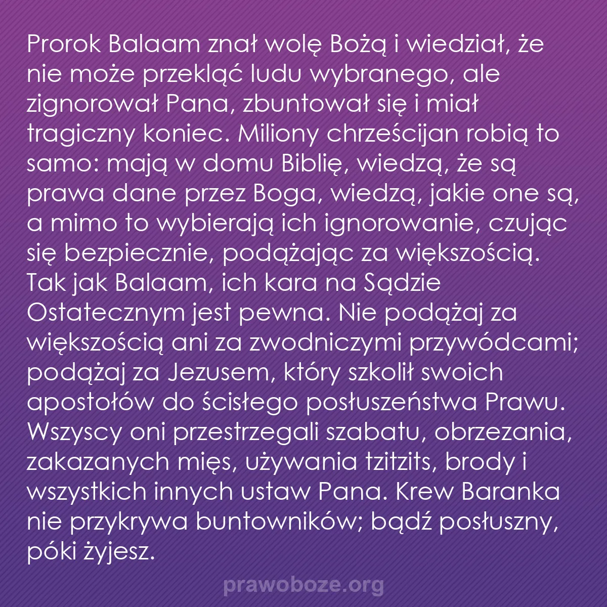 b0031 - Grafika o Prawie Bożym: Prorok Balaam znał wolę Bożą i wiedział, że nie może przekląć...