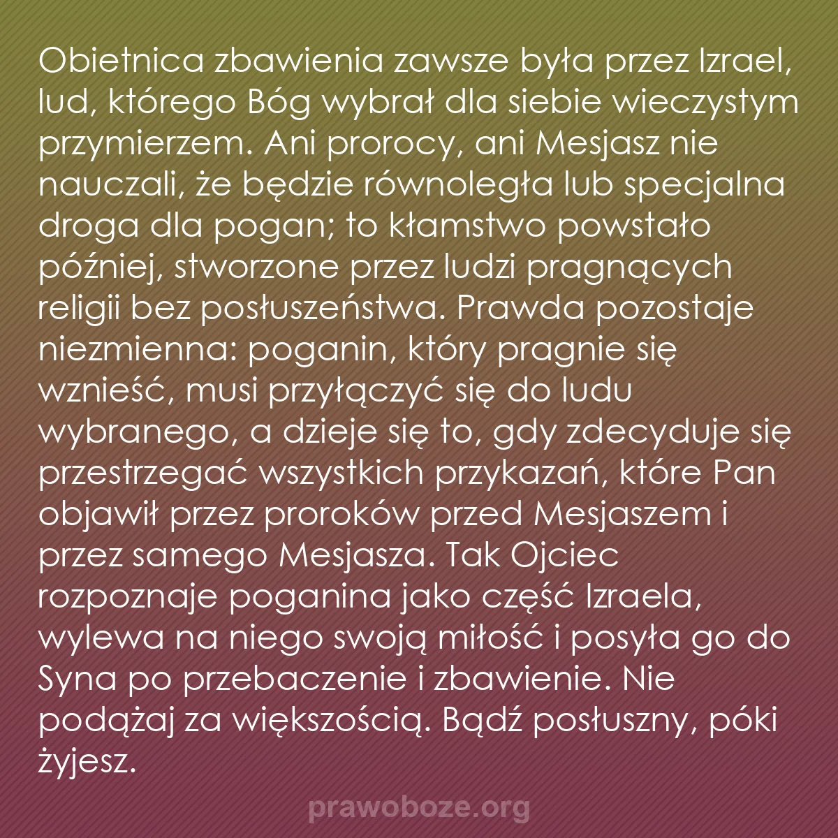b0048 - Grafika o Prawie Bożym: Obietnica zbawienia zawsze była przez Izrael, lud, którego Bóg...