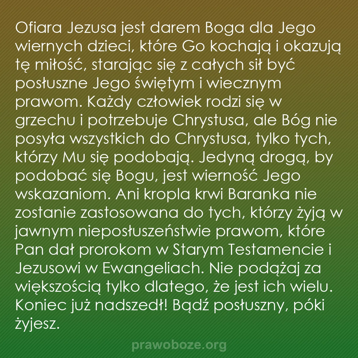 b0056 - Grafika o Prawie Bożym: Ofiara Jezusa jest darem Boga dla Jego wiernych dzieci, które...