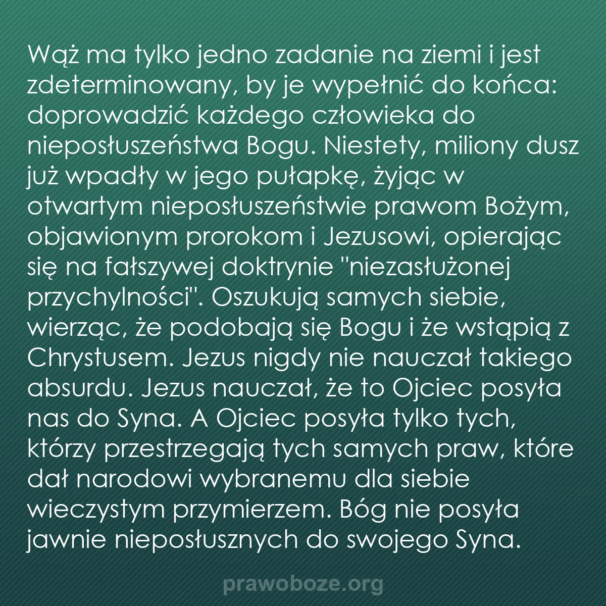 b0060 - Grafika o Prawie Bożym: Wąż ma tylko jedno zadanie na ziemi i jest zdeterminowany, by...