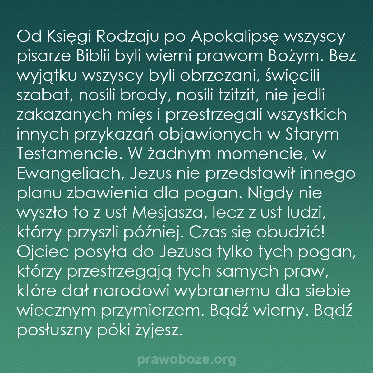 b0065 - Grafika o Prawie Bożym: Od Księgi Rodzaju po Apokalipsę wszyscy pisarze Biblii byli...