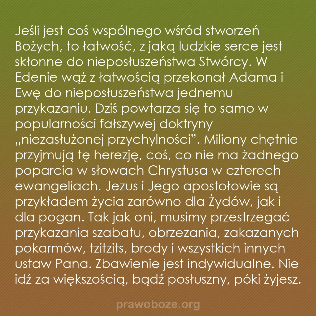 b0089 - Grafika o Prawie Bożym: Jeśli jest coś wspólnego wśród stworzeń Bożych, to łatwość,...