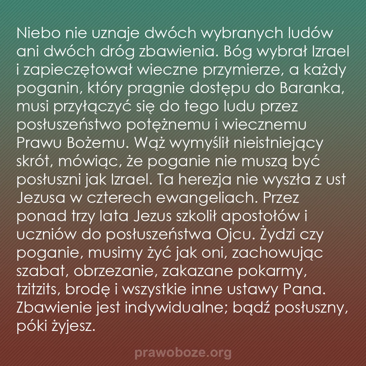 b0133 - Grafika o Prawie Bożym: Niebo nie uznaje dwóch wybranych ludów ani dwóch dróg zbawienia....