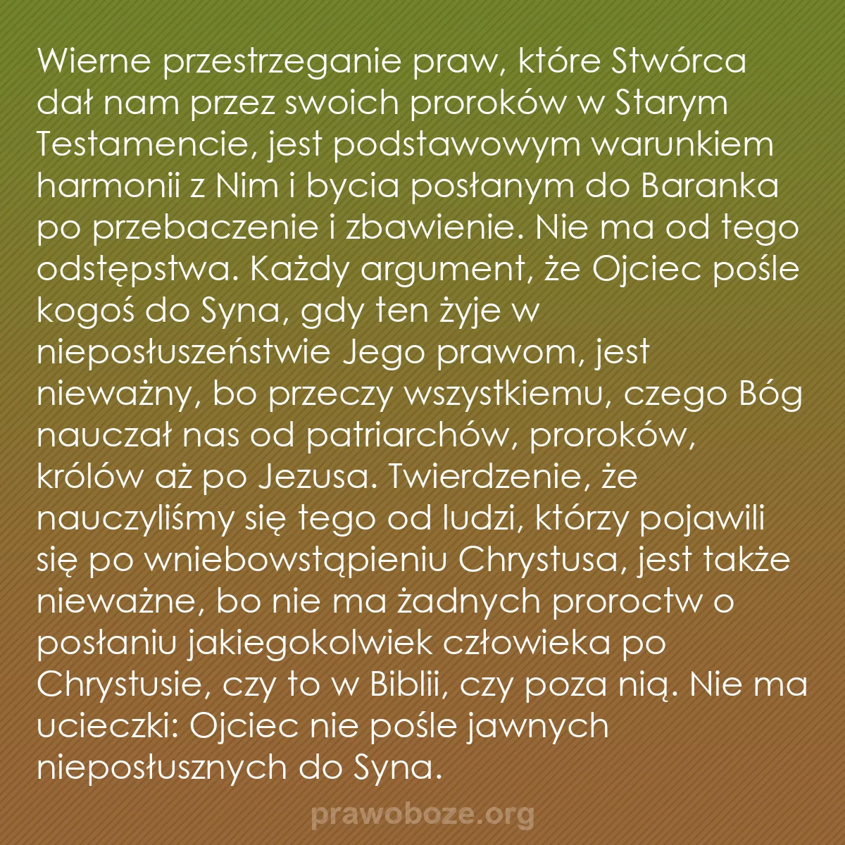b0149 - Grafika o Prawie Bożym: Wierne przestrzeganie praw, które Stwórca dał nam przez swoich...