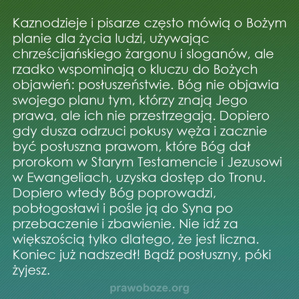 b0150 - Grafika o Prawie Bożym: Kaznodzieje i pisarze często mówią o Bożym planie dla życia...