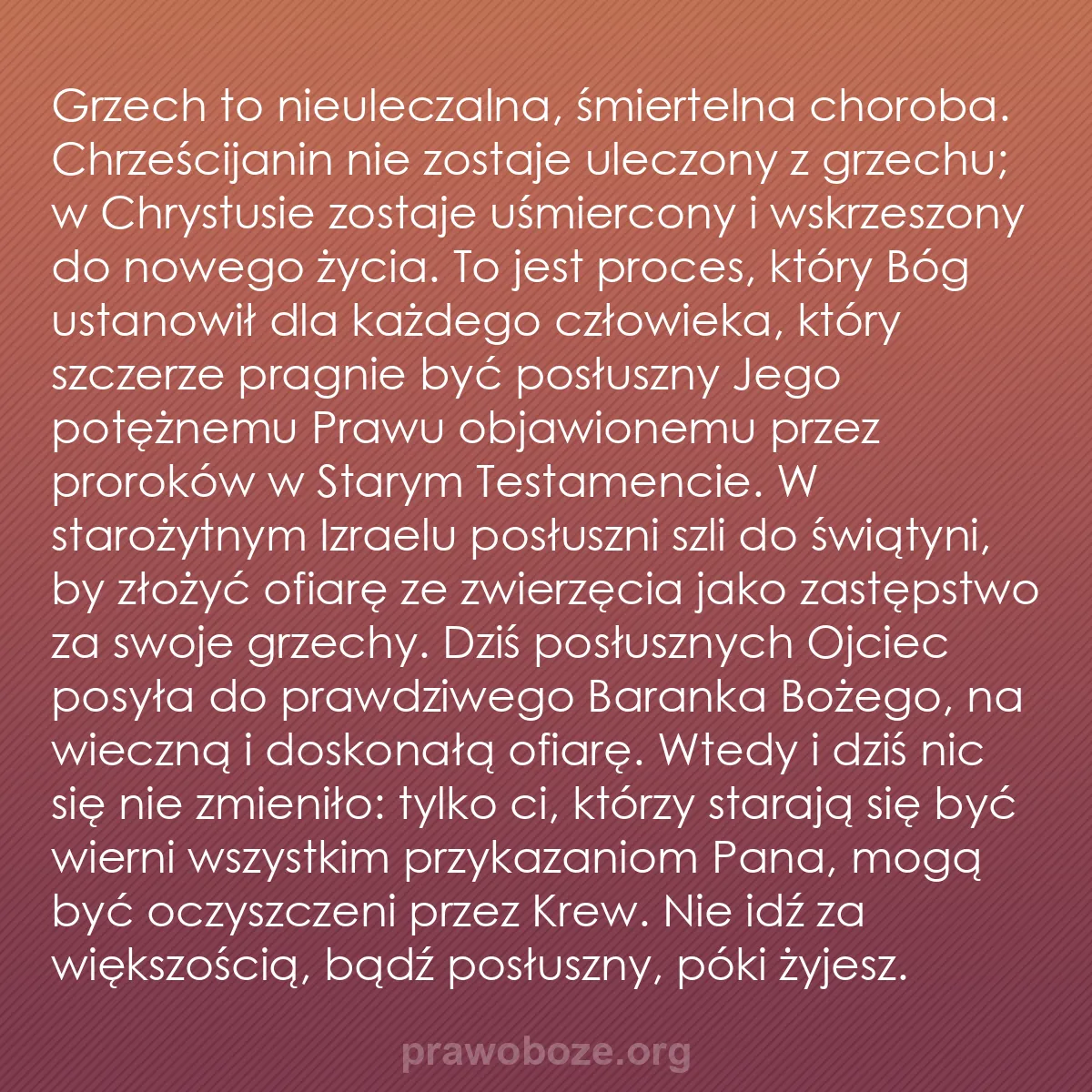 b0186 - Grafika o Prawie Bożym: Grzech to nieuleczalna, śmiertelna choroba. Chrześcijanin nie...