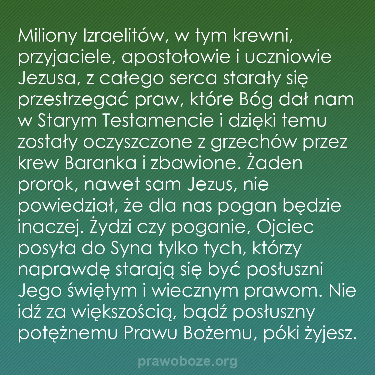 b0190 - Grafika o Prawie Bożym: Miliony Izraelitów, w tym krewni, przyjaciele, apostołowie i...