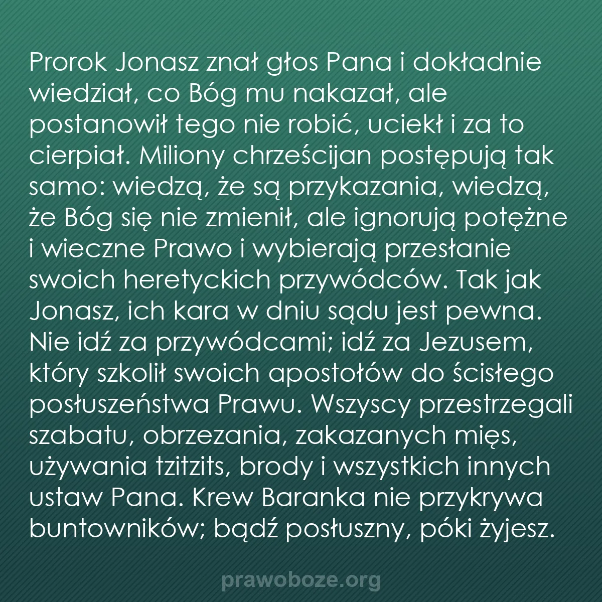 b0240 - Grafika o Prawie Bożym: Prorok Jonasz znał głos Pana i dokładnie wiedział, co Bóg mu...