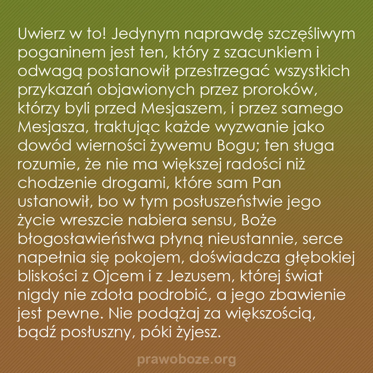 b0249 - Grafika o Prawie Bożym: Uwierz w to! Jedynym naprawdę szczęśliwym poganinem jest ten,...