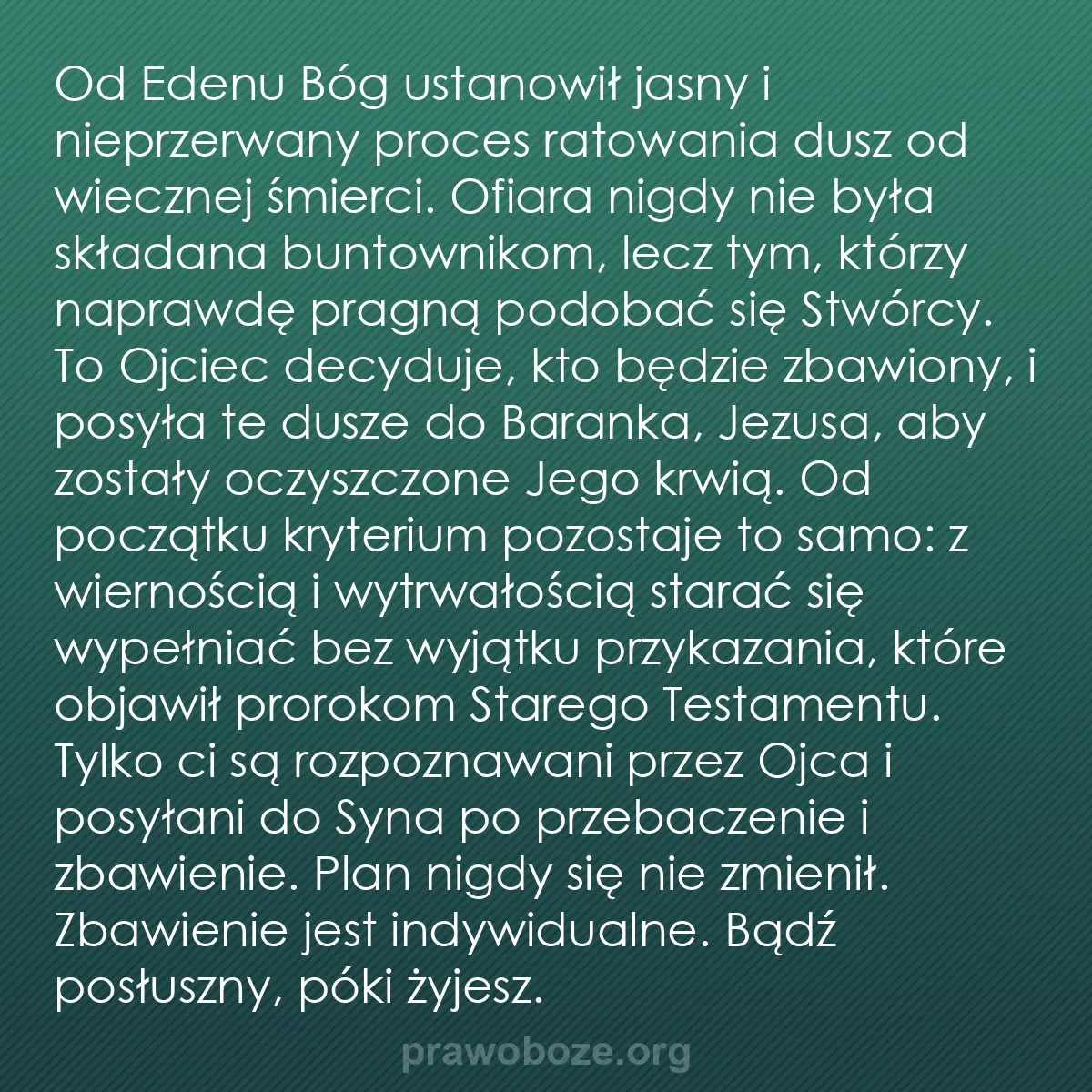 b0260 - Grafika o Prawie Bożym: Od Edenu Bóg ustanowił jasny i nieprzerwany proces ratowania...