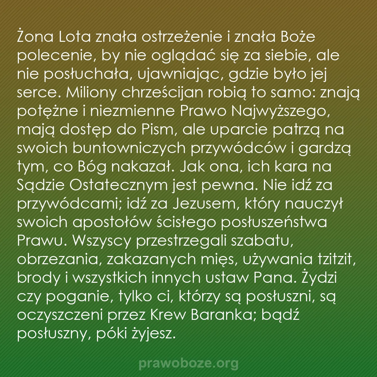 b0276 - Grafika o Prawie Bożym: Żona Lota znała ostrzeżenie i znała Boże polecenie, by nie oglądać...