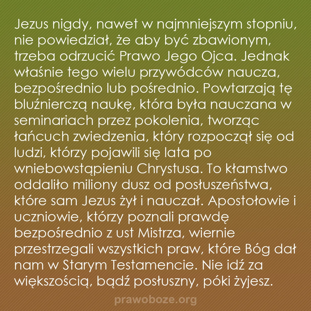 b0289 - Grafika o Prawie Bożym: Jezus nigdy, nawet w najmniejszym stopniu, nie powiedział, że...