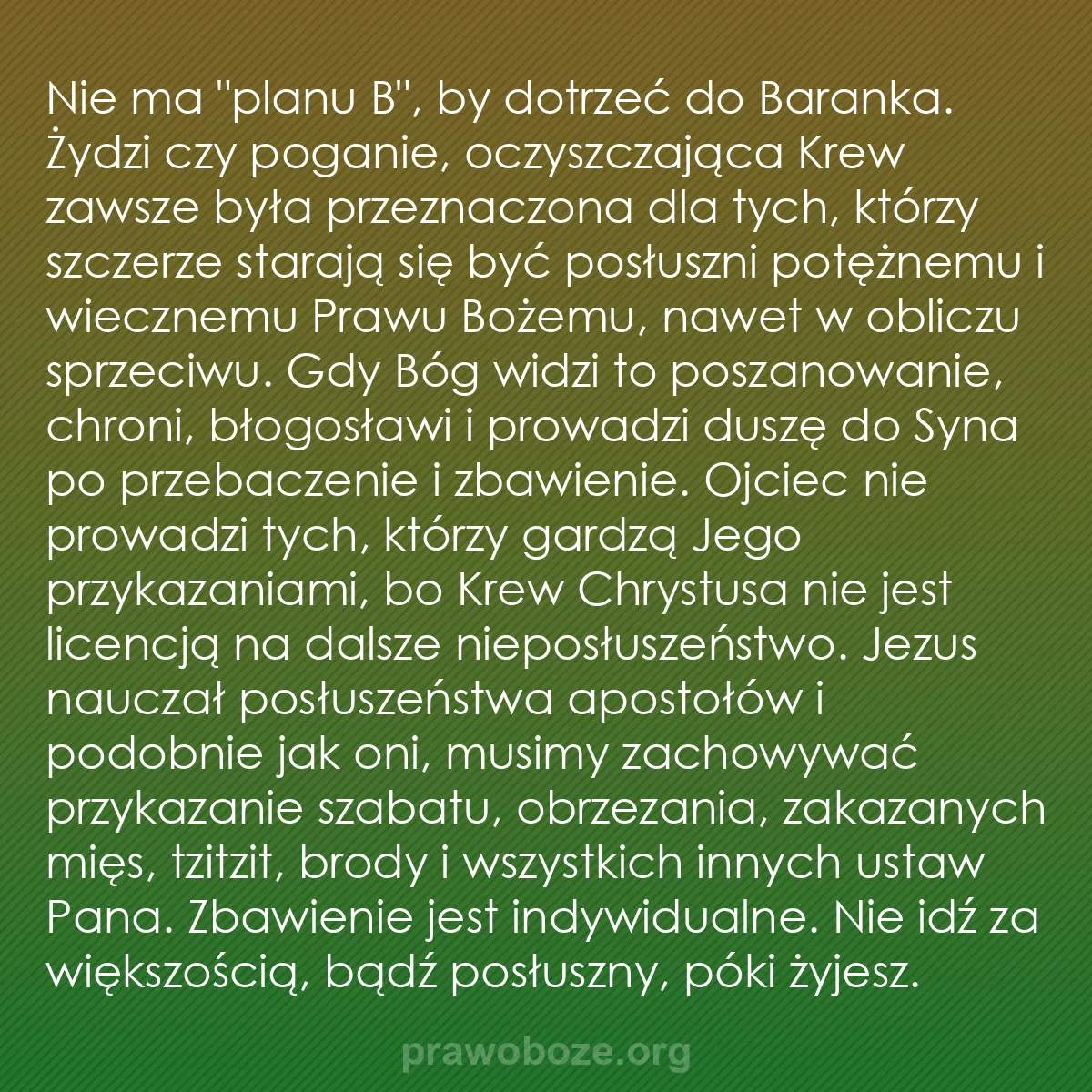 b0296 - Grafika o Prawie Bożym: Nie ma "planu B", by dotrzeć do Baranka. Żydzi czy poganie,...