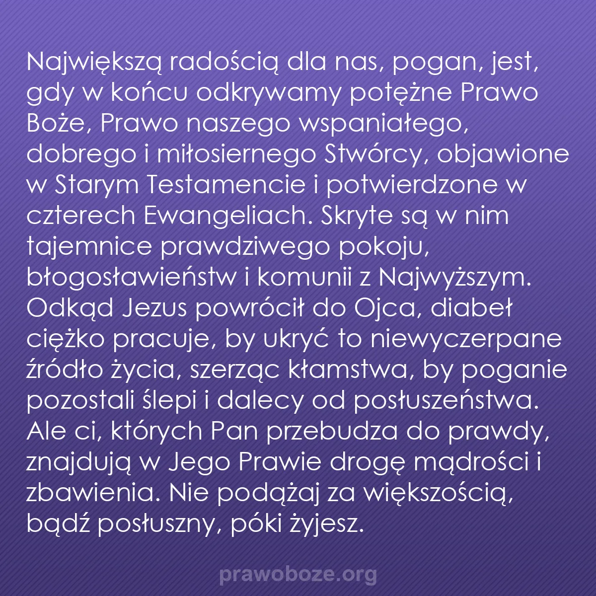 b0318 - Grafika o Prawie Bożym: Największą radością dla nas, pogan, jest, gdy w końcu odkrywamy...