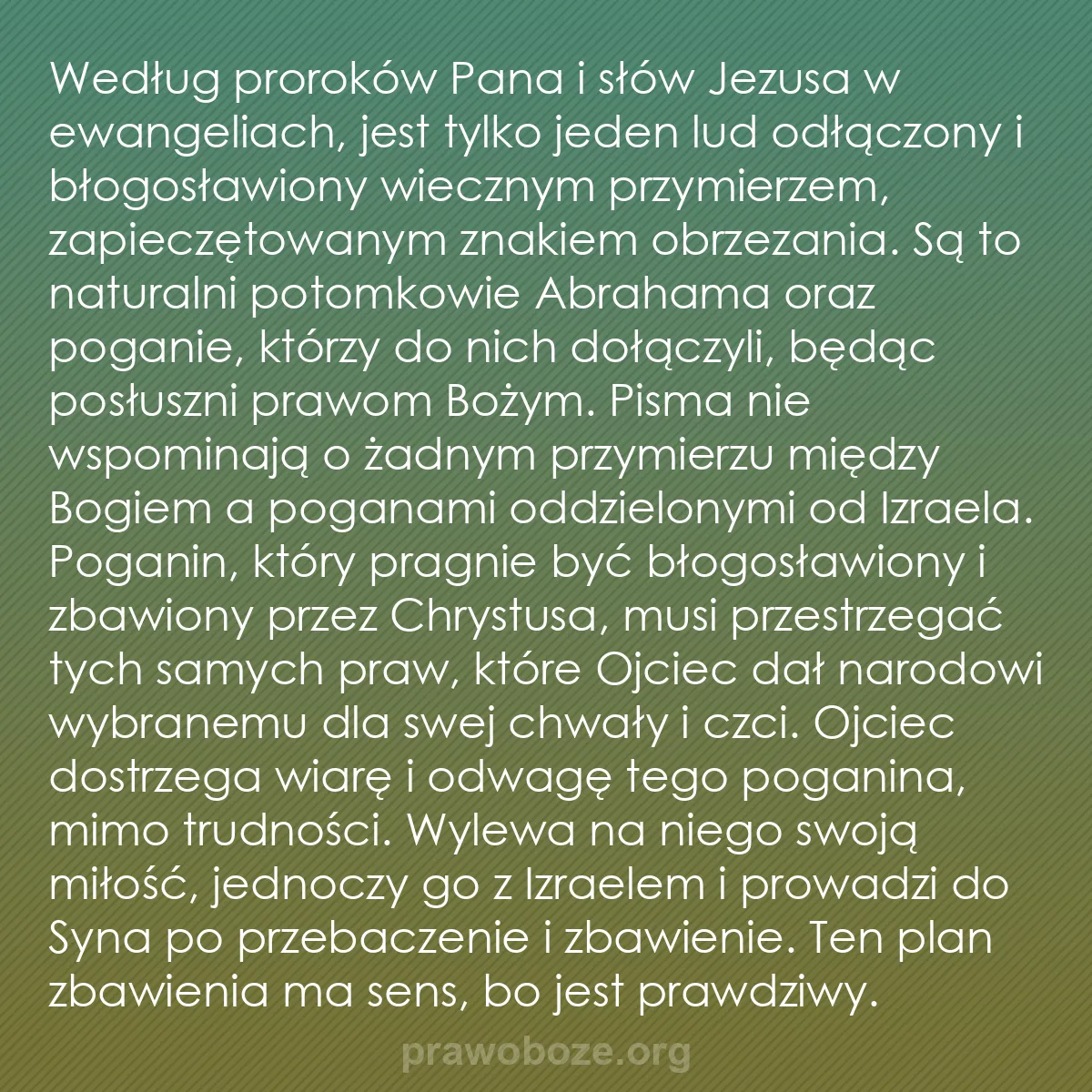 b0323 - Grafika o Prawie Bożym: Według proroków Pana i słów Jezusa w ewangeliach, jest tylko...