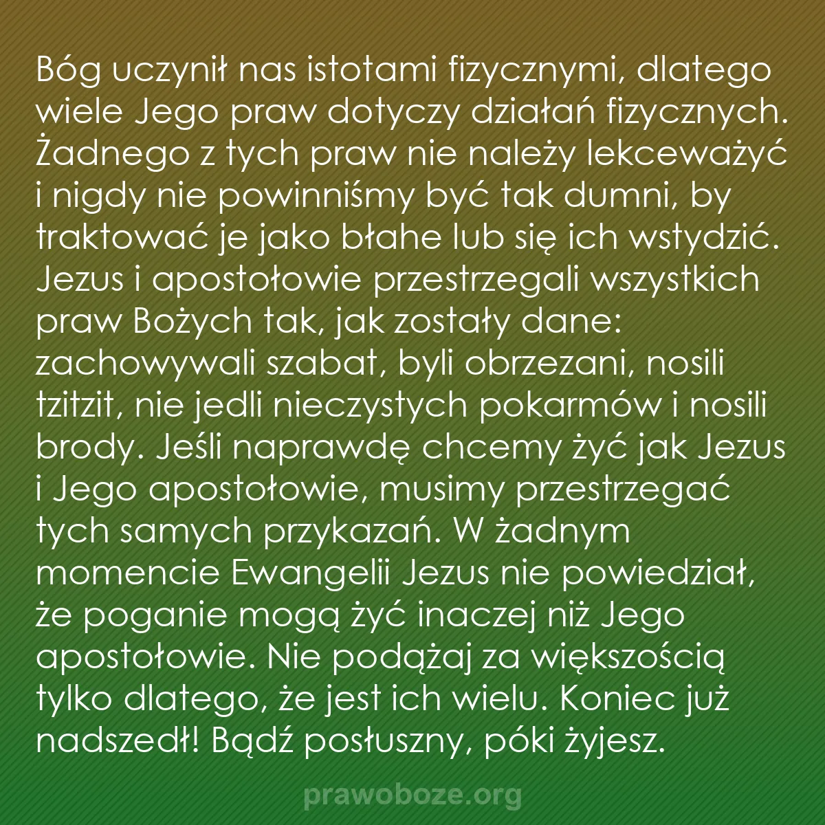 b0336 - Grafika o Prawie Bożym: Bóg uczynił nas istotami fizycznymi, dlatego wiele Jego praw...