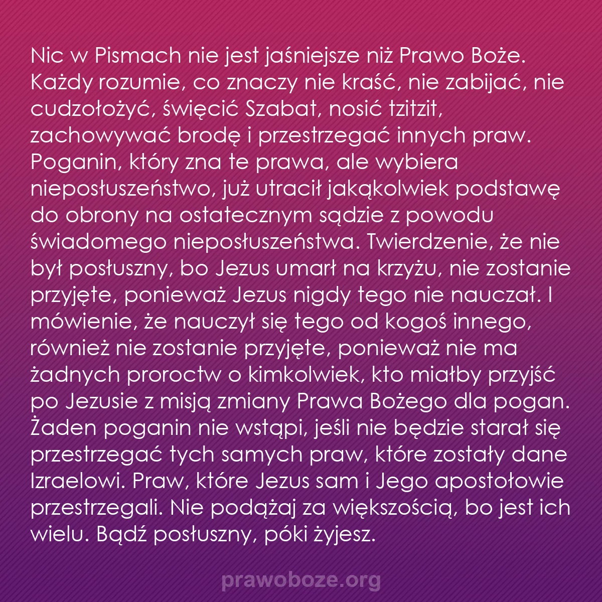 b0341 - Grafika o Prawie Bożym: Nic w Pismach nie jest jaśniejsze niż Prawo Boże. Każdy rozumie,...