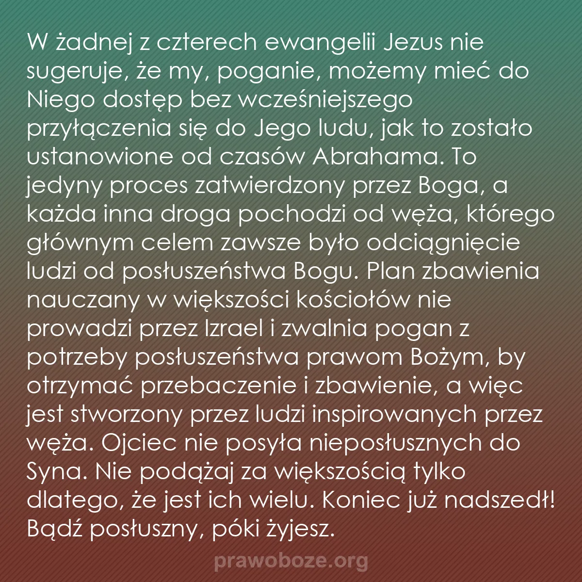 b0353 - Grafika o Prawie Bożym: W żadnej z czterech ewangelii Jezus nie sugeruje, że my, poganie,...