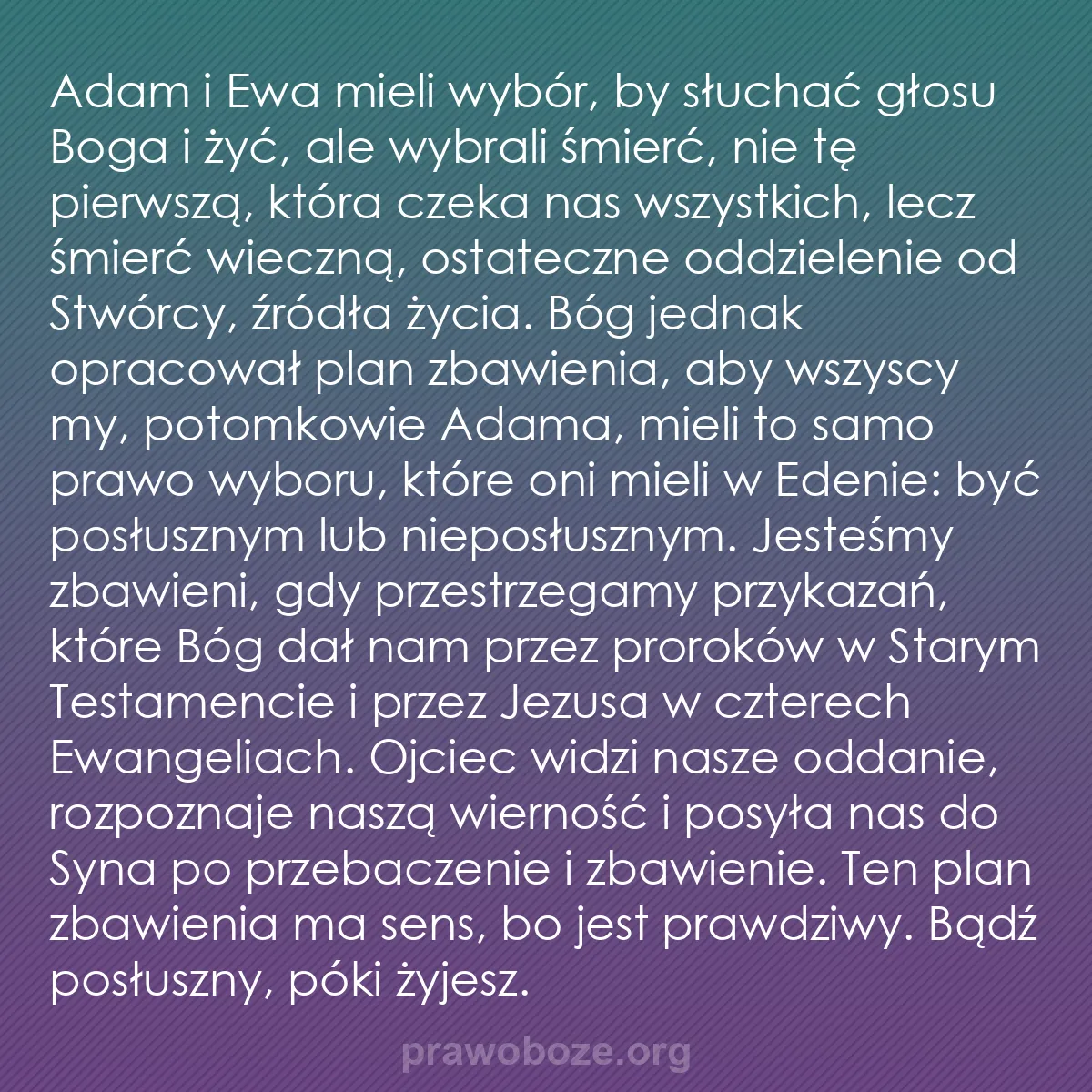 b0364 - Grafika o Prawie Bożym: Adam i Ewa mieli wybór, by słuchać głosu Boga i żyć, ale wybrali...