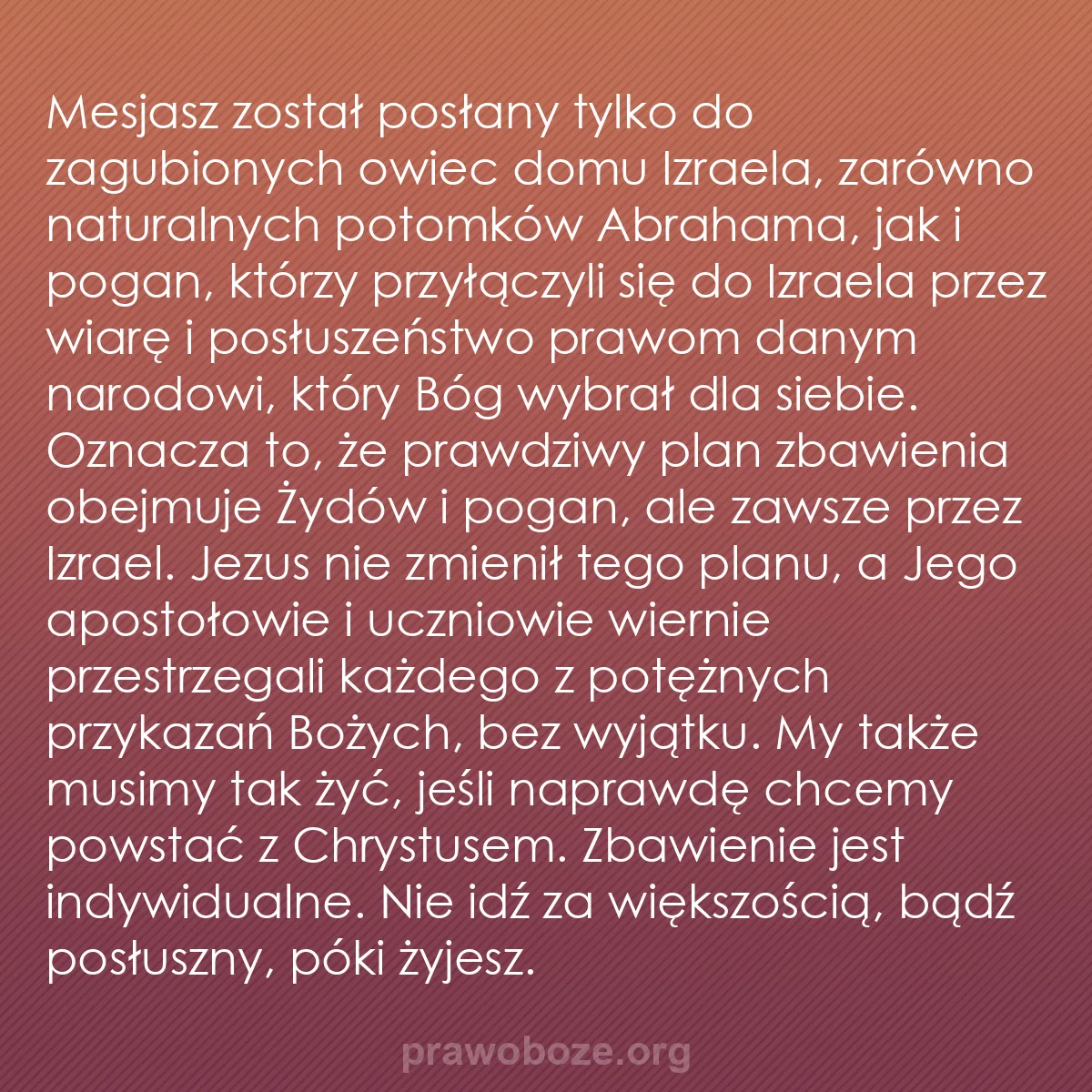 b0366 - Grafika o Prawie Bożym: Mesjasz został posłany tylko do zagubionych owiec domu Izraela,...