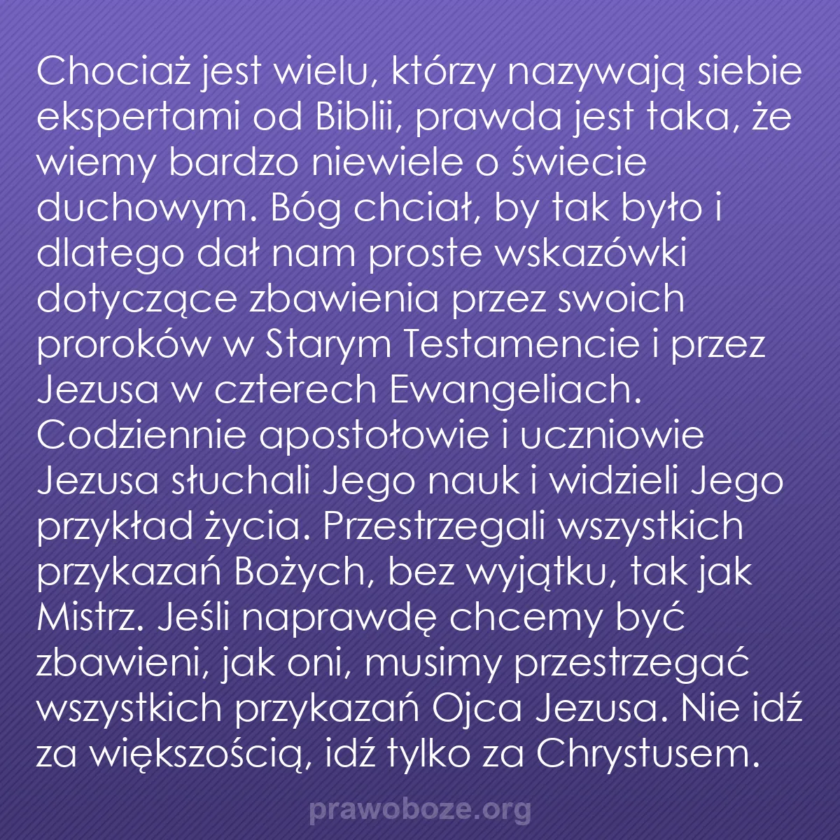 b0378 - Grafika o Prawie Bożym: Chociaż jest wielu, którzy nazywają siebie ekspertami od Biblii,...