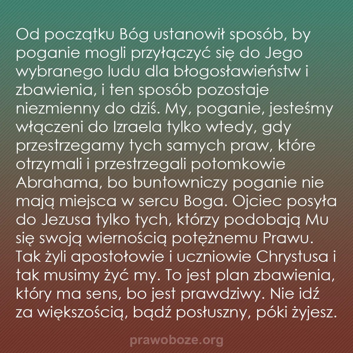 b0393 - Grafika o Prawie Bożym: Od początku Bóg ustanowił sposób, by poganie mogli przyłączyć...