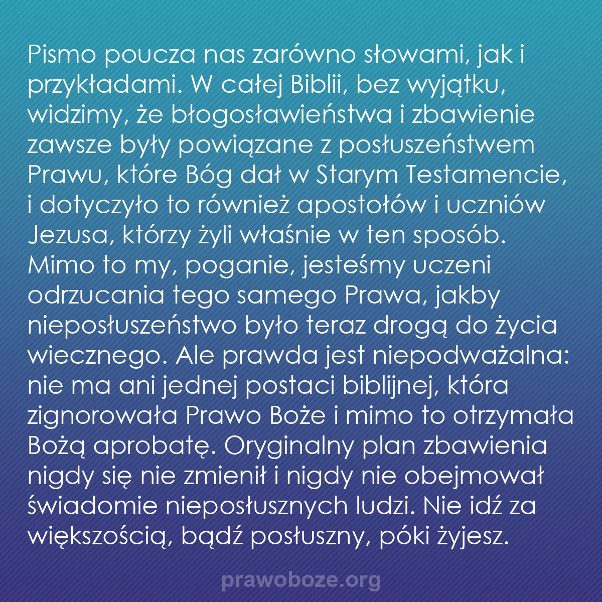b0395 - Grafika o Prawie Bożym: Pismo poucza nas zarówno słowami, jak i przykładami. W całej...