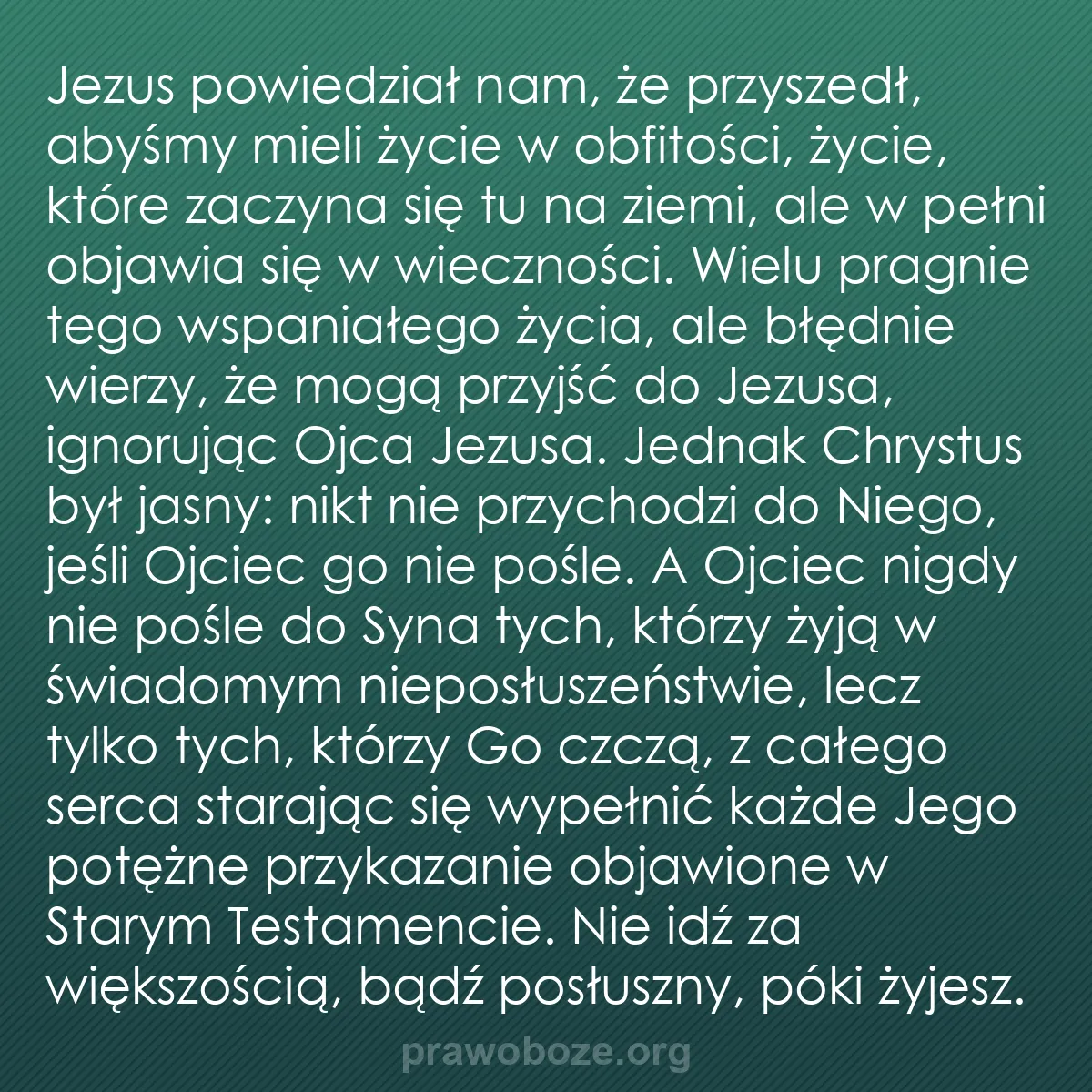 b0400 - Grafika o Prawie Bożym: Jezus powiedział nam, że przyszedł, abyśmy mieli życie w obfitości,...