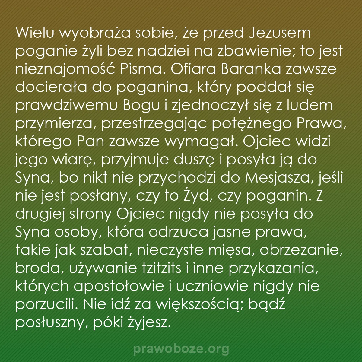 b0416 - Grafika o Prawie Bożym: Wielu wyobraża sobie, że przed Jezusem poganie żyli bez nadziei...