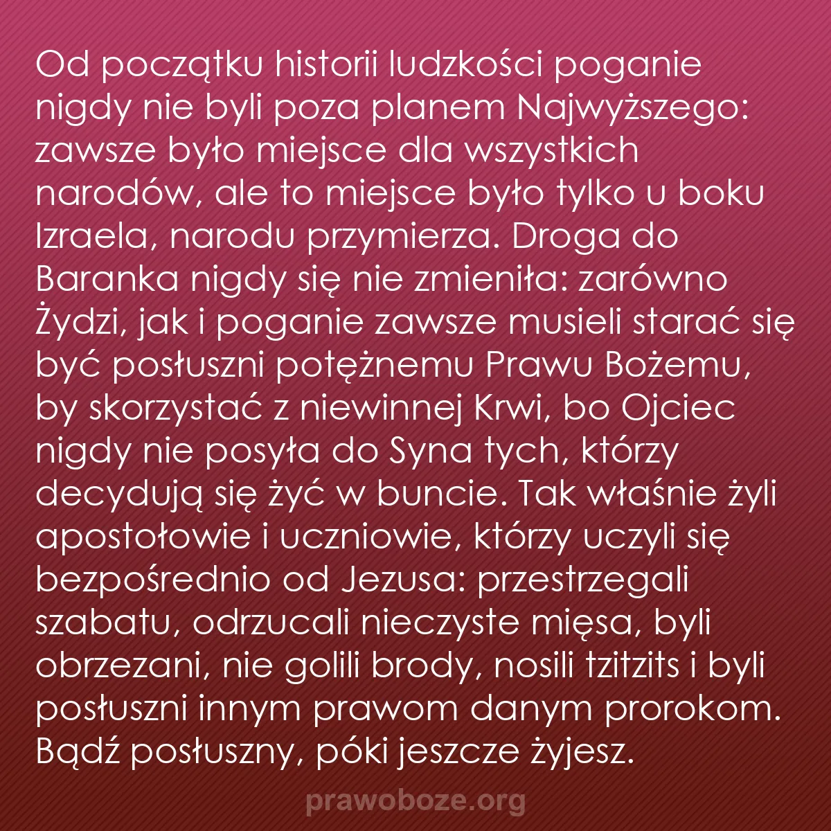b0439 - Grafika o Prawie Bożym: Od początku historii ludzkości poganie nigdy nie byli poza planem...