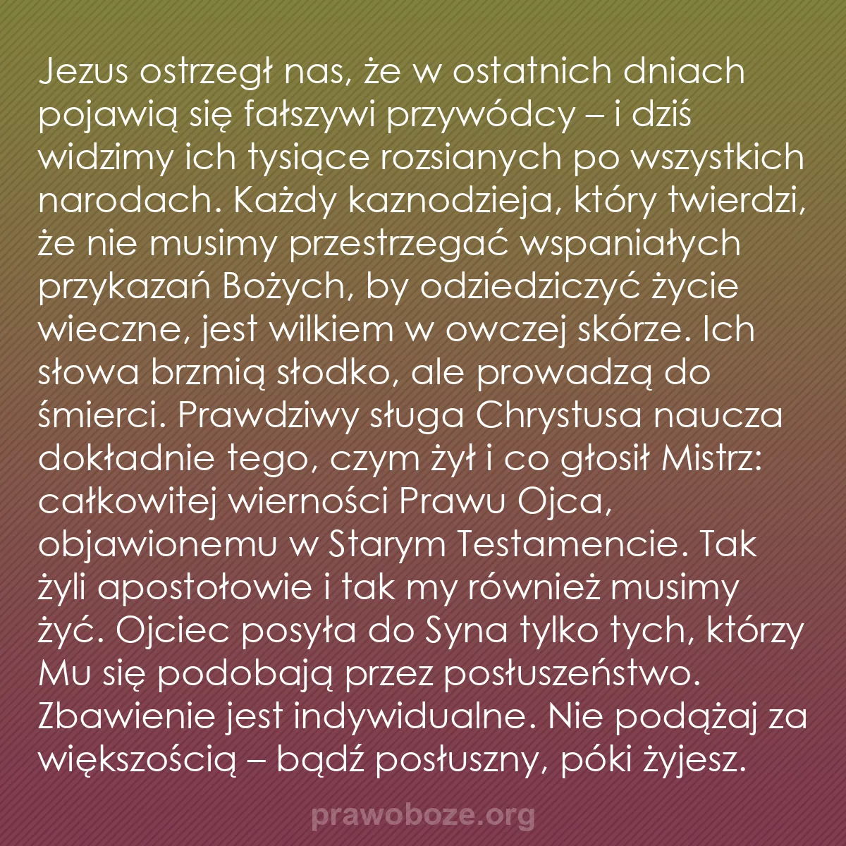 b0448 - Grafika o Prawie Bożym: Jezus ostrzegł nas, że w ostatnich dniach pojawią się fałszywi...
