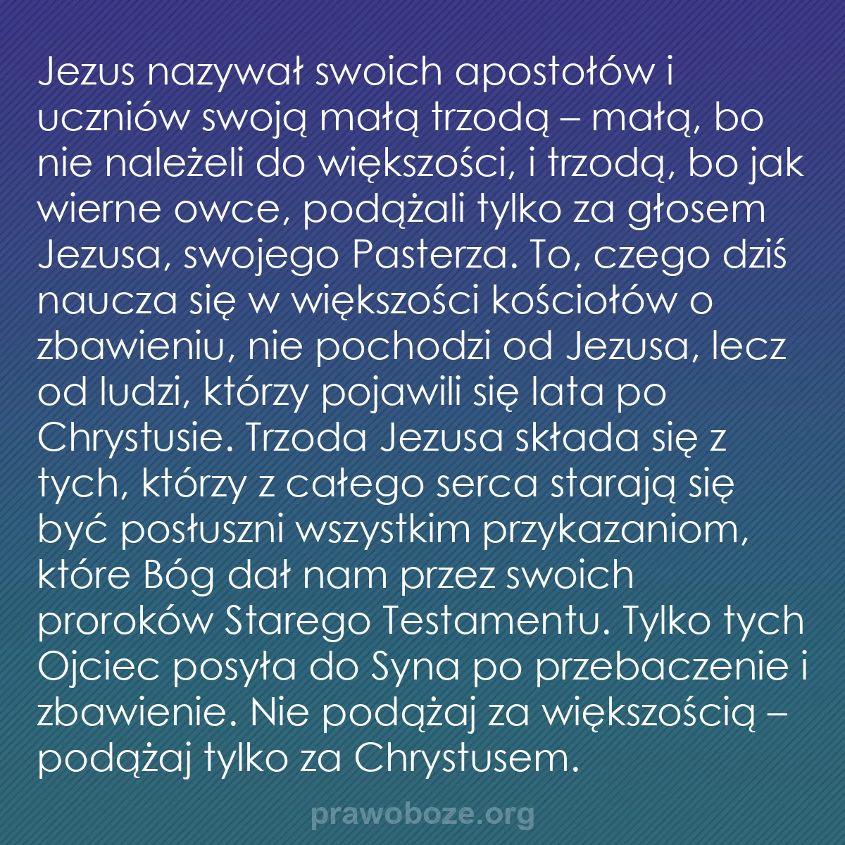 b0457 - Grafika o Prawie Bożym: Jezus nazywał swoich apostołów i uczniów swoją małą trzodą –...