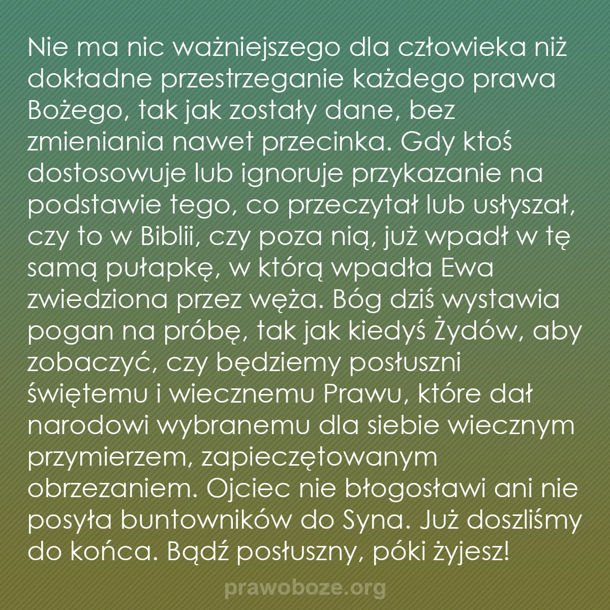 b0463 - Grafika o Prawie Bożym: Nie ma nic ważniejszego dla człowieka niż dokładne przestrzeganie...
