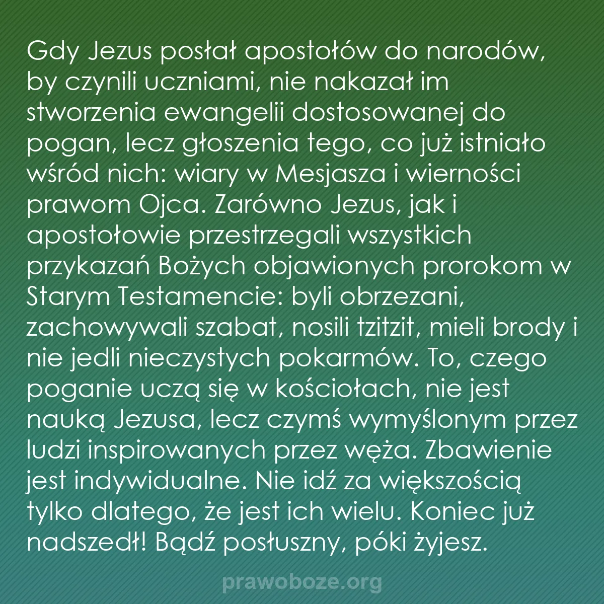 b0470 - Grafika o Prawie Bożym: Gdy Jezus posłał apostołów do narodów, by czynili uczniami,...