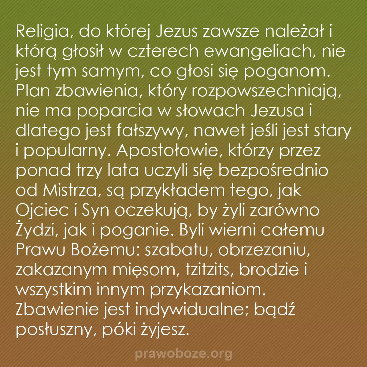 b0489 - Grafika o Prawie Bożym: Religia, do której Jezus zawsze należał i którą głosił w czterech...