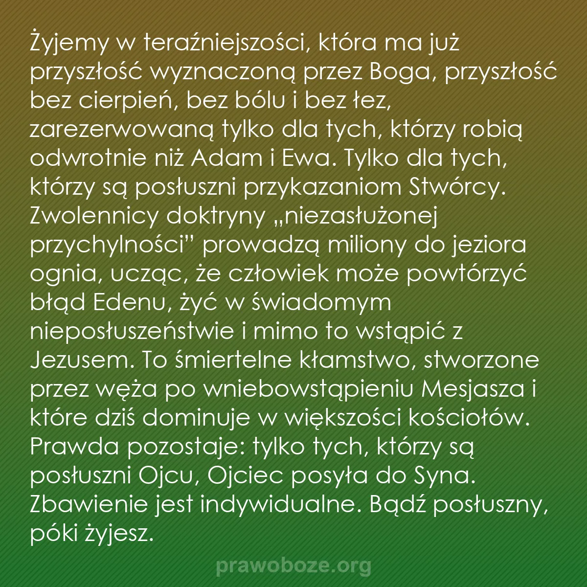 b0496 - Grafika o Prawie Bożym: Żyjemy w teraźniejszości, która ma już przyszłość wyznaczoną...