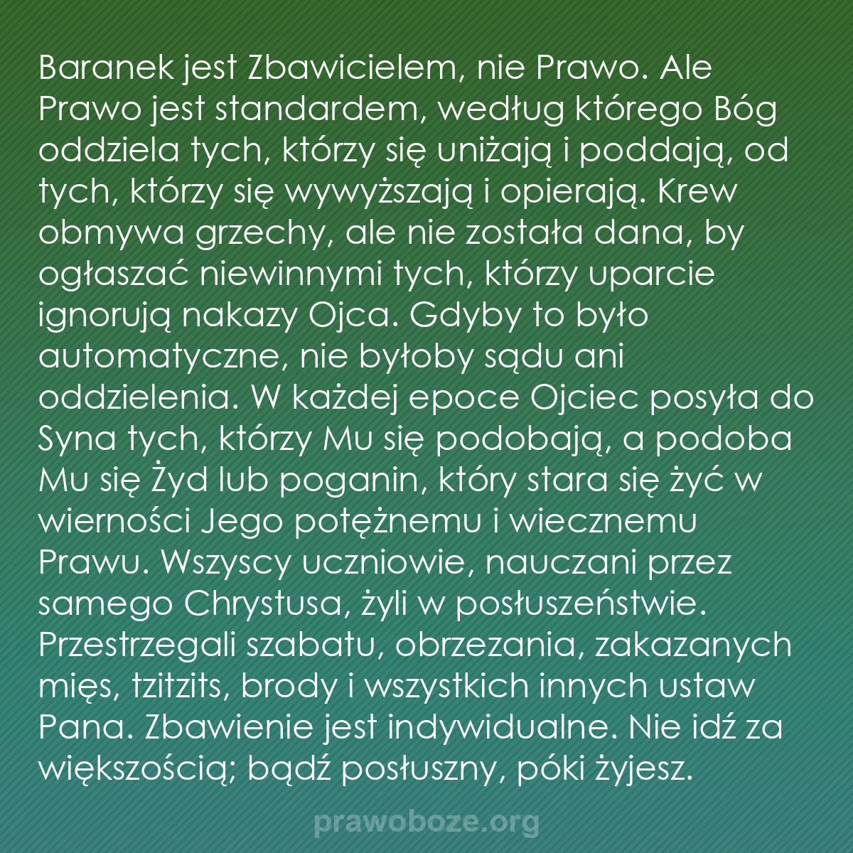 b0510 - Grafika o Prawie Bożym: Baranek jest Zbawicielem, nie Prawo. Ale Prawo jest standardem,...