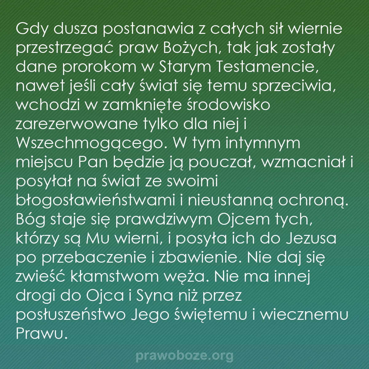 b0550 - Grafika o Prawie Bożym: Gdy dusza postanawia z całych sił wiernie przestrzegać praw...