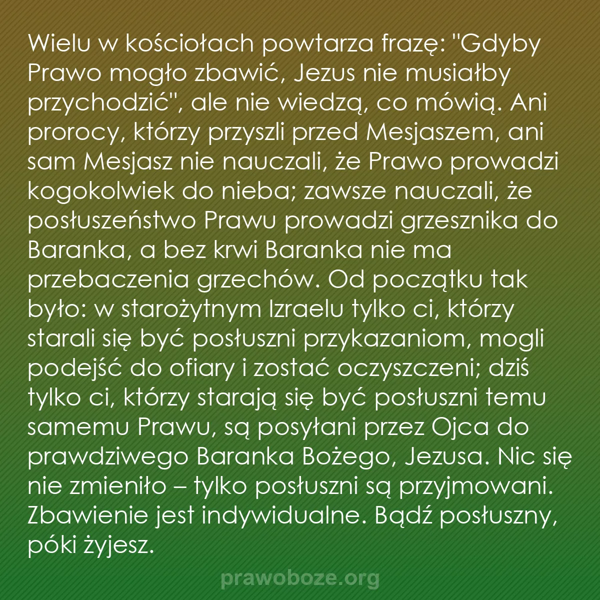 b0576 - Grafika o Prawie Bożym: Wielu w kościołach powtarza frazę: "Gdyby Prawo mogło zbawić,...